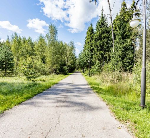 Лесной часток в КП Лесные зори