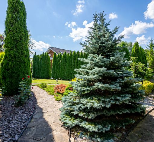 Классический дом в Славково