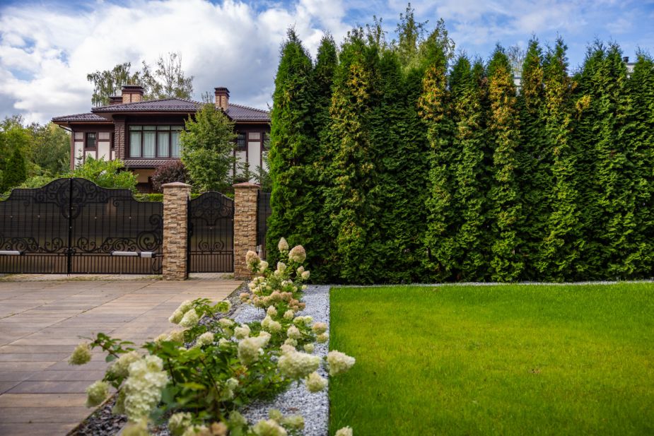 Дом в КП Монтевиль