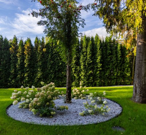 Дом в КП Монтевиль