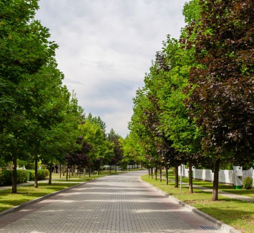 Готовый дом в Резиденции Бенилюкс