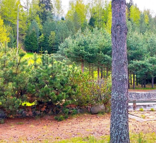 Участок в КП Красновидово-2