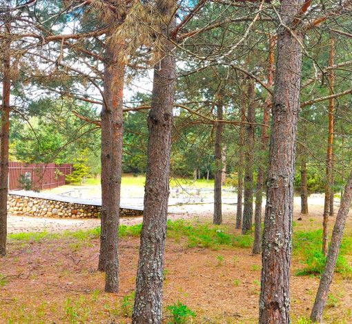 Участок в КП Красновидово-2