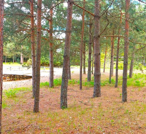 Участок в КП Красновидово-2