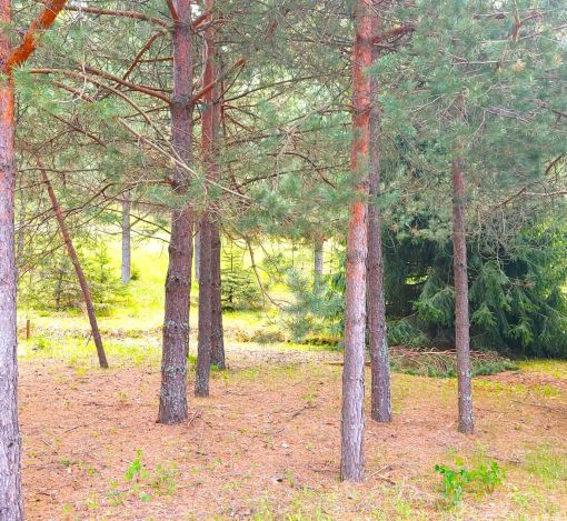 Участок в КП Красновидово-2