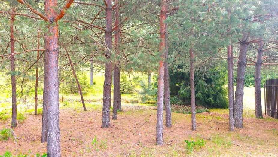 Участок в КП Красновидово-2