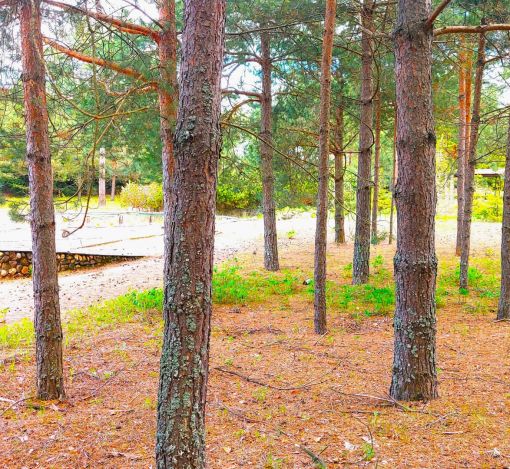 Участок в КП Красновидово-2