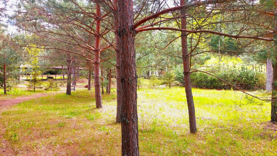 Участок в КП Красновидово-2