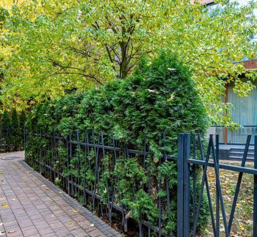 Готовый таунхаус в КП Футуро Парк