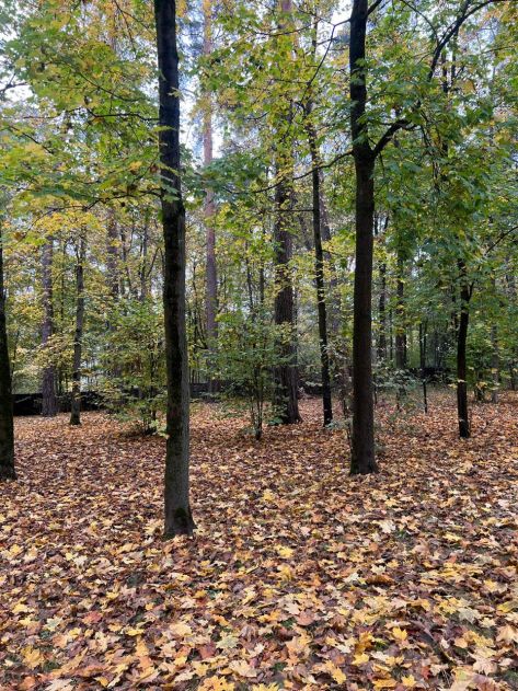 Участок в КП Косыгинские дачи