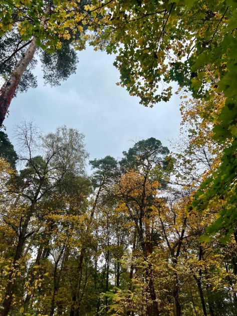 Участок в КП Косыгинские дачи