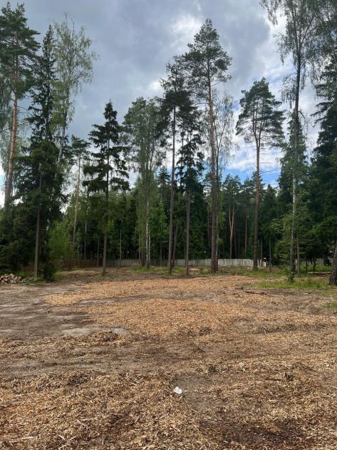 Участок в КП Лесные зори