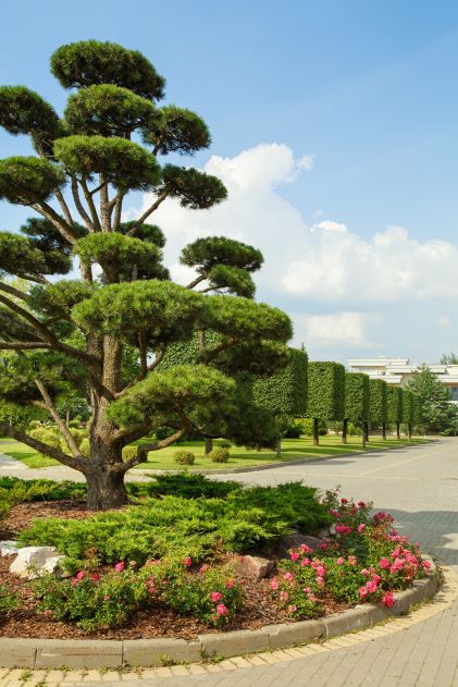 Стильный дом в КП Ренессанс парк