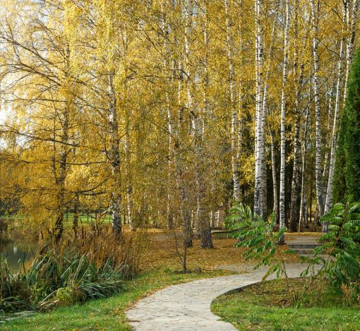 Участок в кп Княжье Озеро