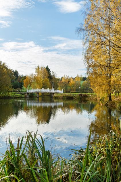 Участок в кп Княжье Озеро
