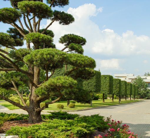 Дом под отделку в Ренессанс парке