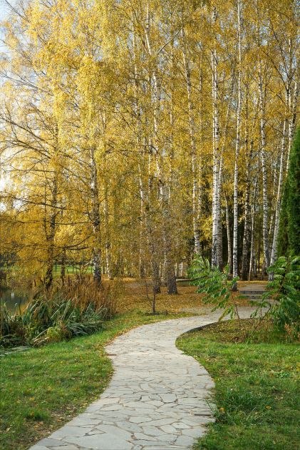 Княжье Озеро