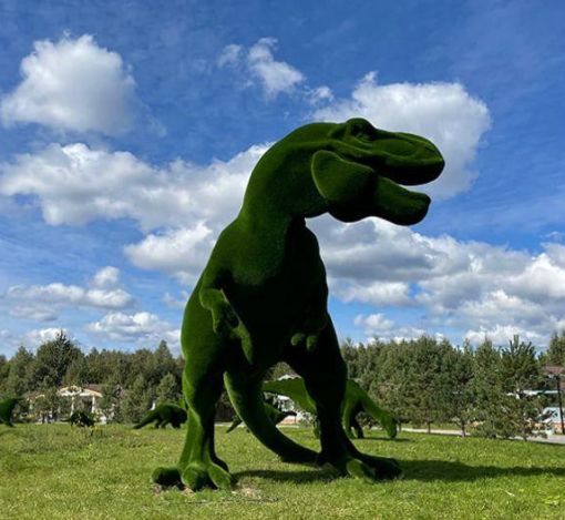 Лесной участок в Эмеральд Вилладж