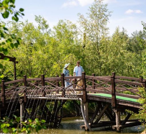 Лесной участок в Эмеральд Вилладж