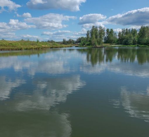 Лесной участок в Эмеральд Вилладж