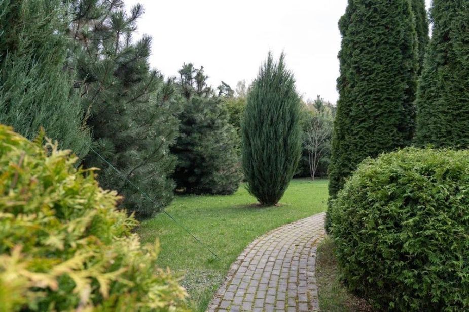 Дом в КП Княжье озеро