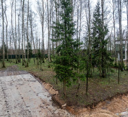 Лесной часток в КП Лесные зори