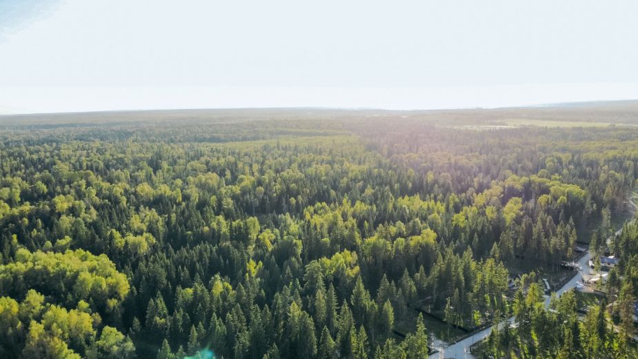 Участок у воды в КП Ели Эстейт