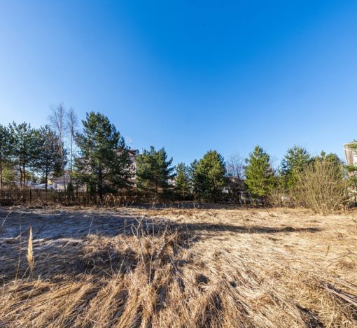 Дом в Новахово со своими соснами