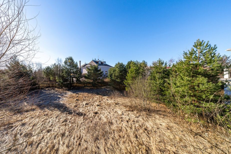 Дом в Новахово со своими соснами