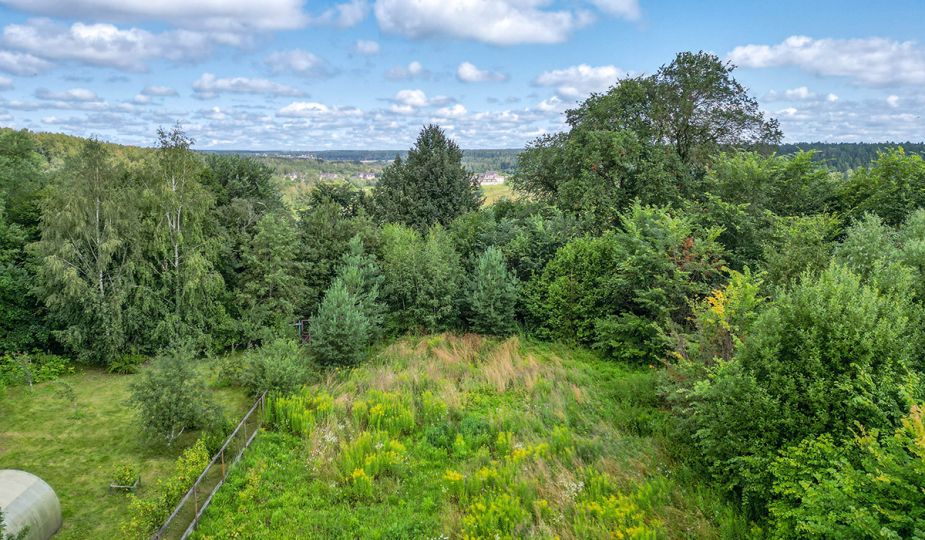 Дмитровское