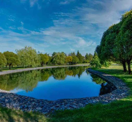 Миллениум Парк