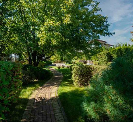 Миллениум Парк