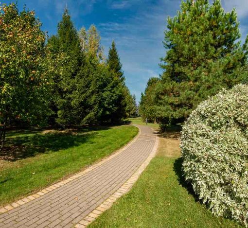 Миллениум Парк