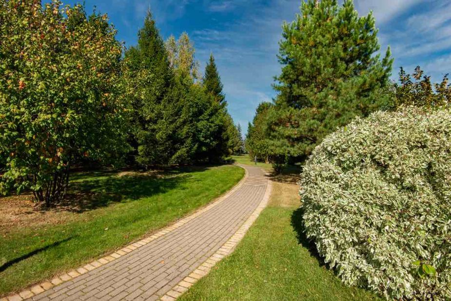 Миллениум Парк