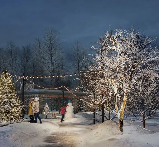 Кристал Форест