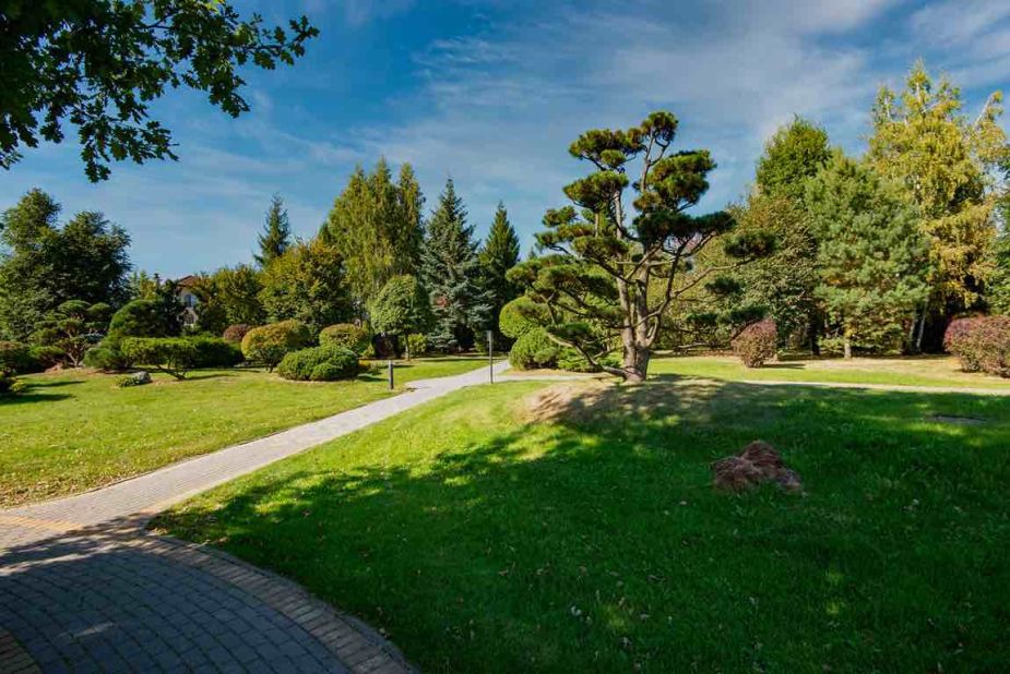 Миллениум Парк