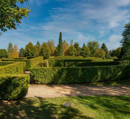 Миллениум Парк