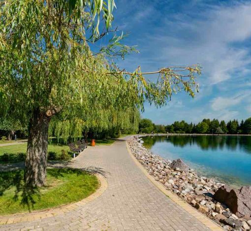 Миллениум Парк