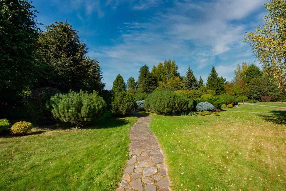 Миллениум Парк