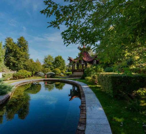 Миллениум Парк