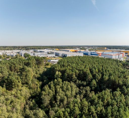 Участок у воды в Лобаново