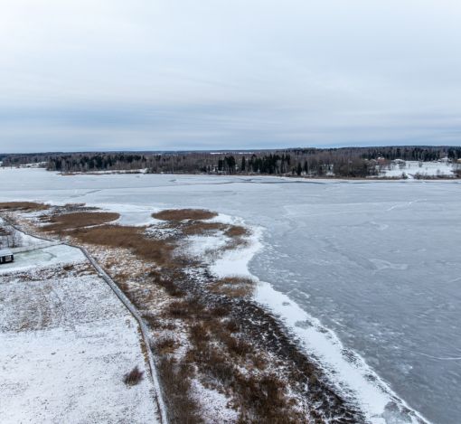 Рузские дачи