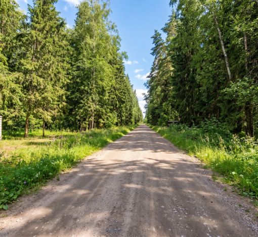 Лесной участок в КП Вымпел