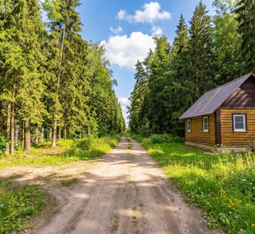 Лесной участок в КП Вымпел