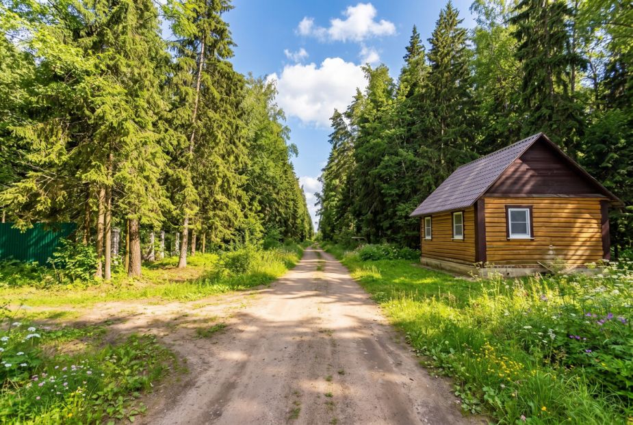 Лесной участок в КП Вымпел