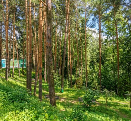 Готовый дом в КП Алексеево Парк
