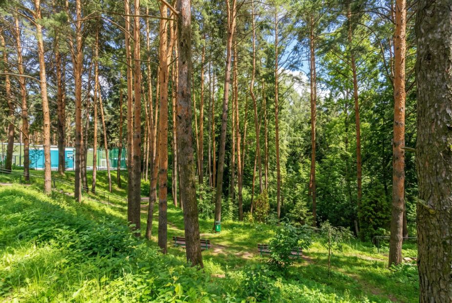 Готовый дом в КП Алексеево Парк