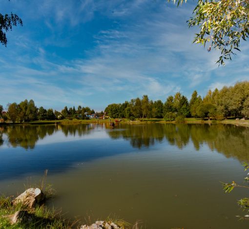 Дом в КП Миллениум парк