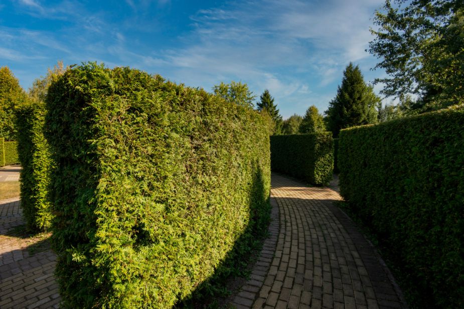 Новый дом в КП Миллениум Парк