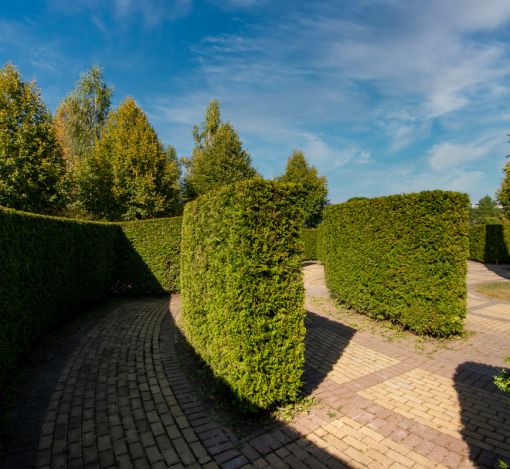 Участок в КП Миллениум парк